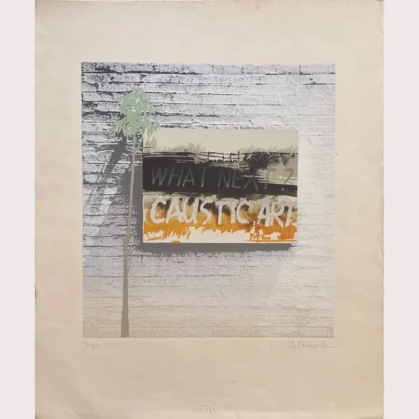 What Next? Caustic Art, Heads or Tails portfolio