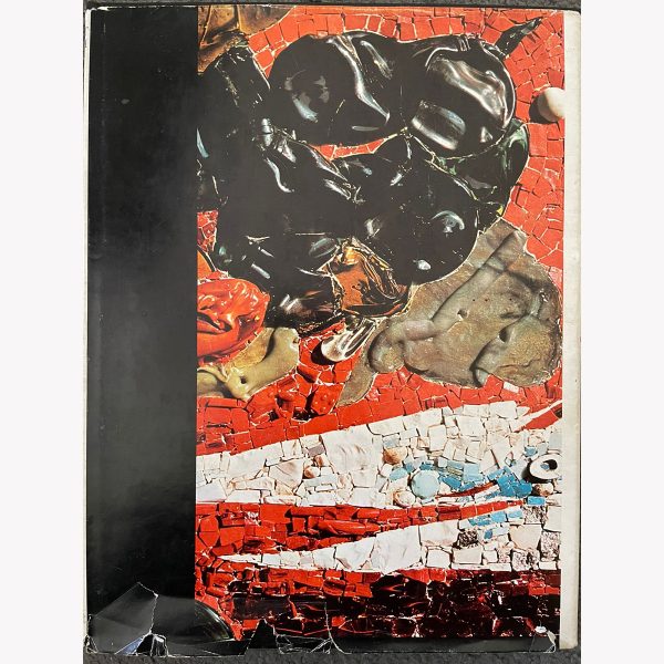 Armando Baldinelli book by Albert Werth